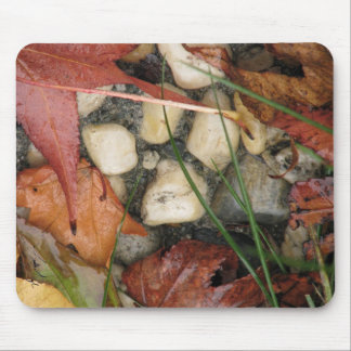 Autumn Collage Mouse Pad