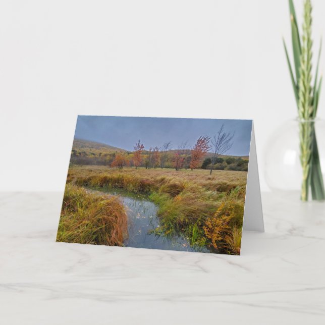 Autumn color in Acadia National Park Card (Front)