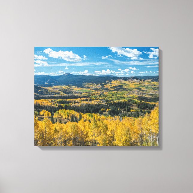 Autumn Color in Flat Tops | Routt National Forest Canvas Print (Front)