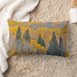 Autumn Colors on Aspen Groves Lumbar Pillow
