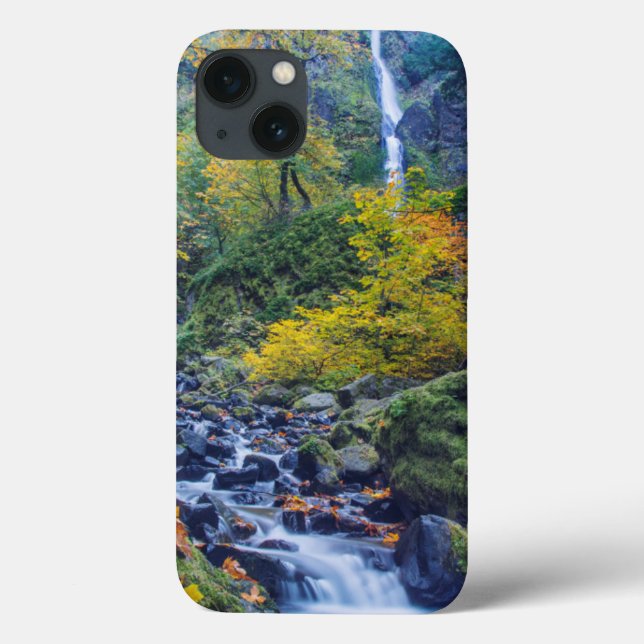 Autumn Colour Along Starvation Creek Falls 2 Case-Mate iPhone Case (Back)