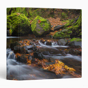 Autumn colour along Starvation Creek Falls Binder