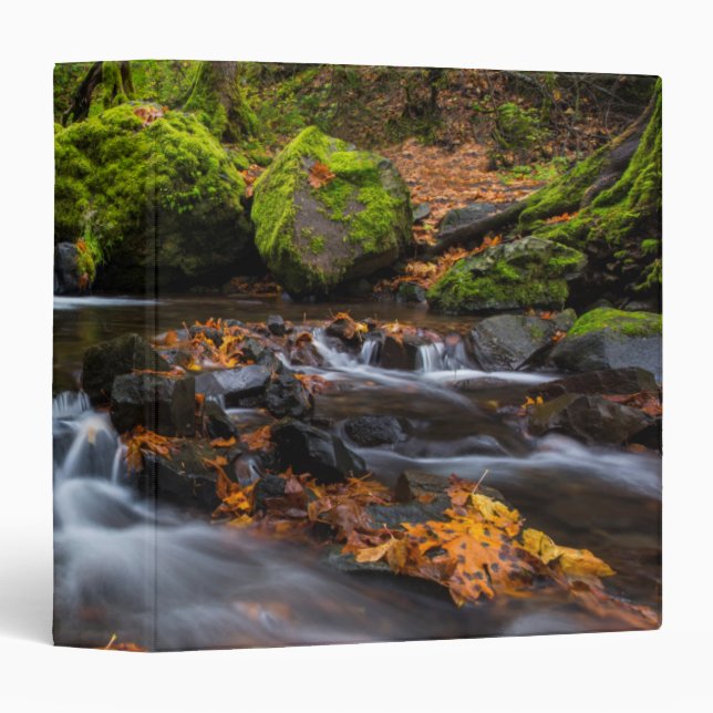 Autumn colour along Starvation Creek Falls Binder (Front/Spine)