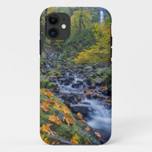 Autumn Colour Along Starvation Creek Falls iPhone 11 Case