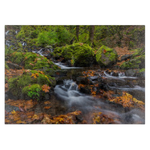 Autumn colour along Starvation Creek Falls Cutting Board