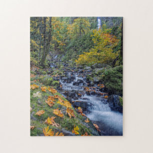 Autumn Colour Along Starvation Creek Falls Jigsaw Puzzle