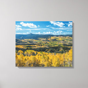 Autumn Colour in Flat Tops   Routt National Forest Canvas Print