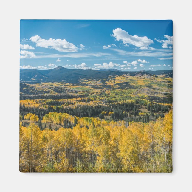 Autumn Colour in Flat Tops | Routt National Forest Magnet (Front)