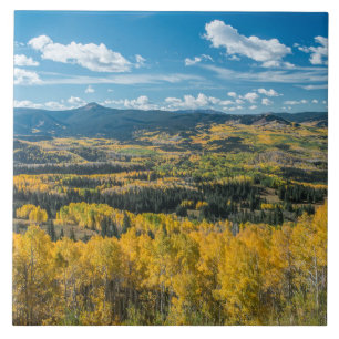 Autumn Colour in Flat Tops Routt National Forest Tile