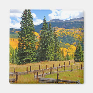 Autumn Colour in the Countryside Magnet