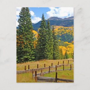 Autumn Colour in the Countryside Postcard
