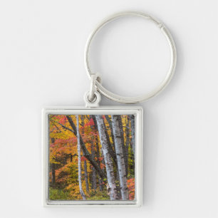Autumn Colour In The Forest Near Copper Harbour Keychain