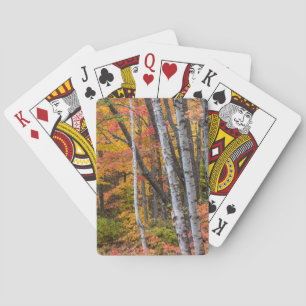 Autumn Colour In The Forest Near Copper Harbour Playing Cards