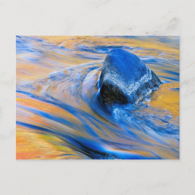 Autumn Colour Water Abstract Postcard (Front)