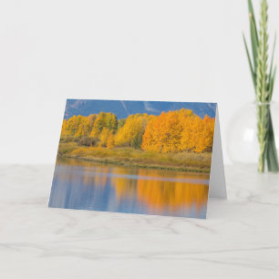 Autumn Coloured Aspen Trees Card