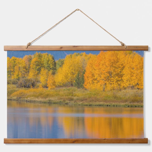 Autumn Coloured Aspen Trees Hanging Tapestry (Front)