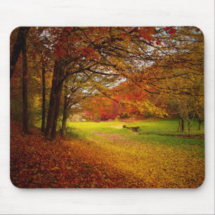 Autumn colourful landscape mouse pad
