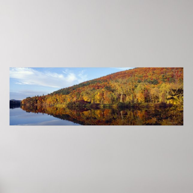 Autumn Colours 2 Poster (Front)