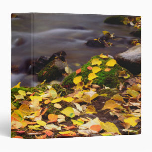 Autumn Colours along McGee Creek Binder