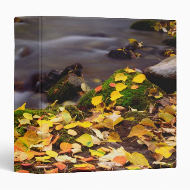 Autumn Colours along McGee Creek Binder (Front/Spine)