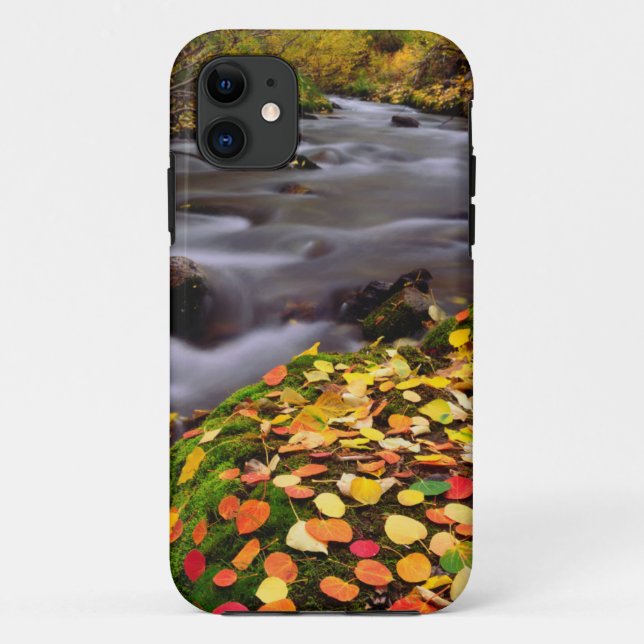 Autumn Colours along McGee Creek Case-Mate iPhone Case (Back)