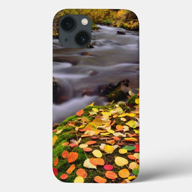 Autumn Colours along McGee Creek Case-Mate iPhone Case (Back)