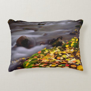 Autumn Colours along McGee Creek Decorative Pillow