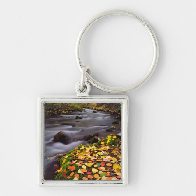 Autumn Colours along McGee Creek Keychain (Front)