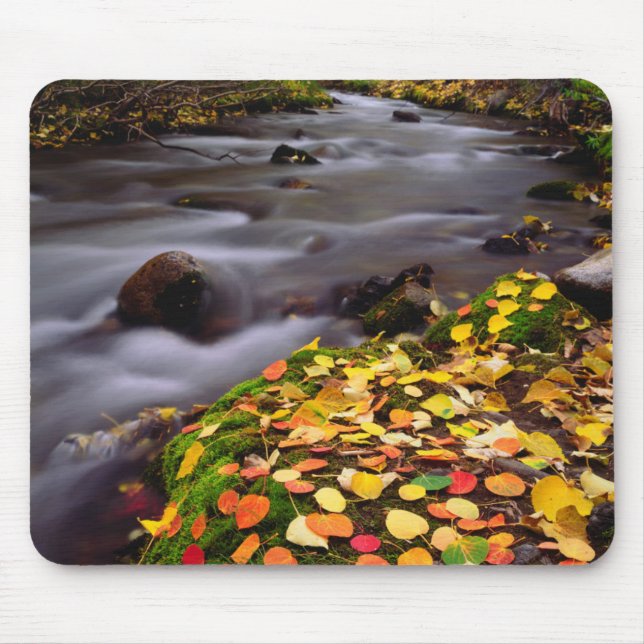 Autumn Colours along McGee Creek Mouse Pad (Front)