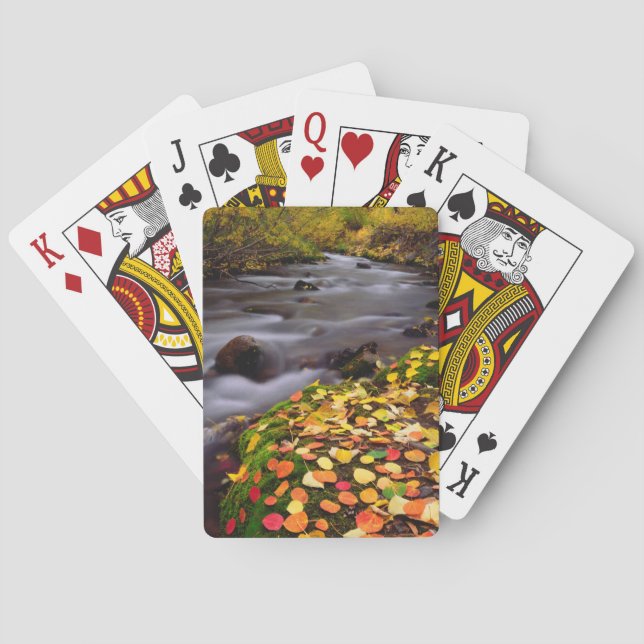 Autumn Colours along McGee Creek Playing Cards (Back)