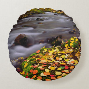 Autumn Colours along McGee Creek Round Pillow
