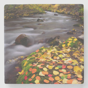 Autumn Colours along McGee Creek Stone Coaster