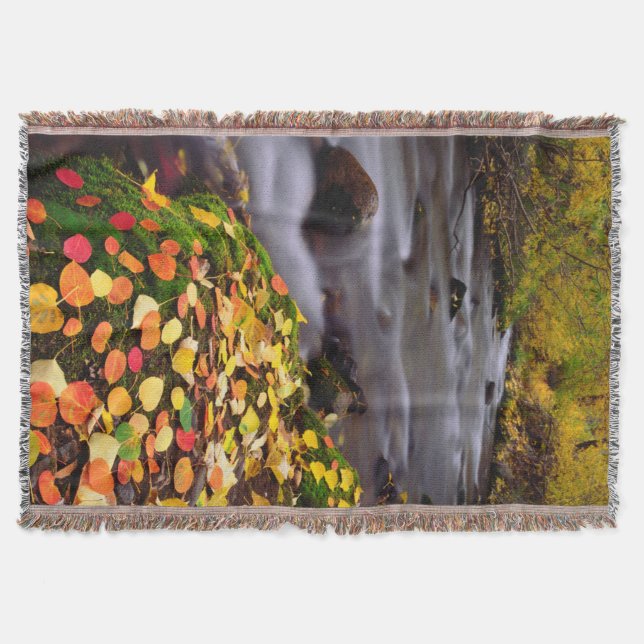 Autumn Colours along McGee Creek Throw Blanket (Front)