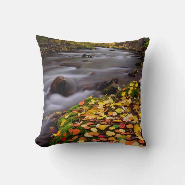 Autumn Colours along McGee Creek Throw Pillow (Front)