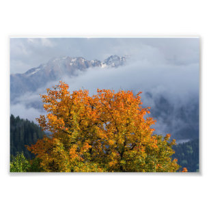 Autumn colours and mountains photo enlargement print