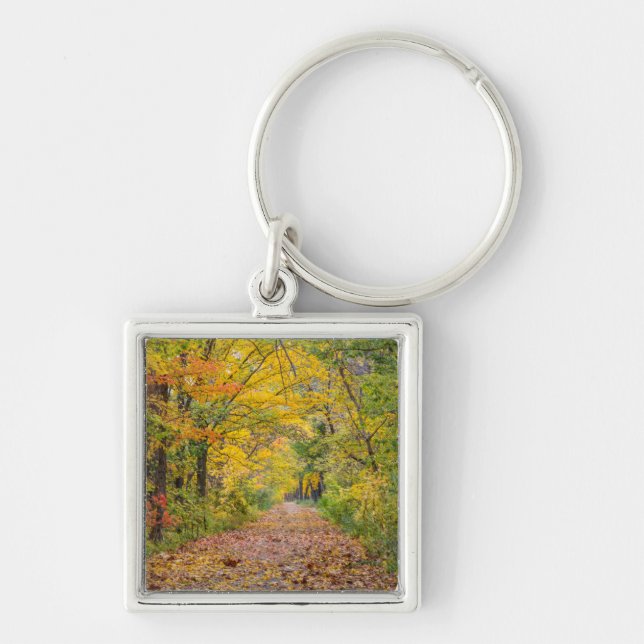 Autumn Colours At Independence State Park Keychain (Front)