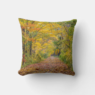 Autumn Colours At Independence State Park Throw Pillow