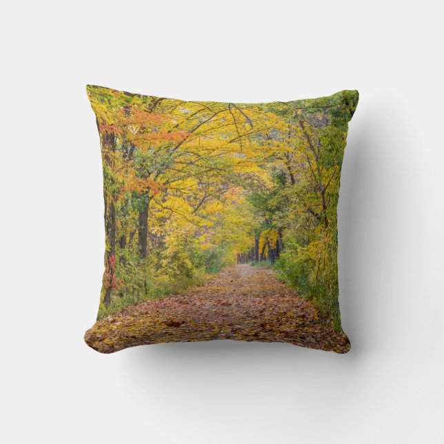 Autumn Colours At Independence State Park Throw Pillow (Front)