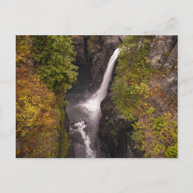 Autumn Colours At The Elk Falls Postcard (Front)