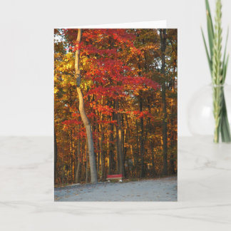 Autumn Colours Brighten Any Day Card