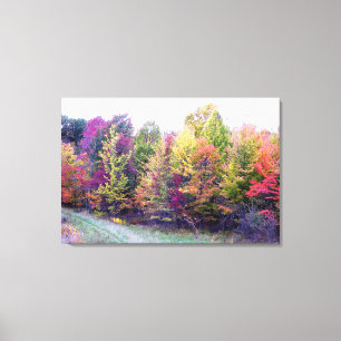 Autumn Colours Canvas Print
