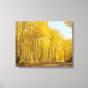 Autumn Colours Canvas Print