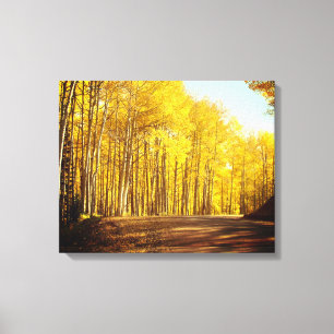 Autumn Colours Canvas Print