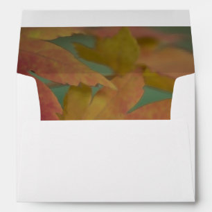 Autumn Colours Envelope