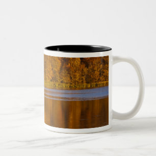 Autumn colours in Maplewood State Park near Two-Tone Coffee Mug