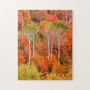 Autumn Colours In Rocky Mountains, Wyoming, USA Jigsaw Puzzle