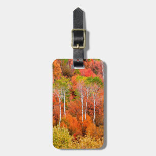 Autumn Colours In Rocky Mountains, Wyoming, USA Luggage Tag