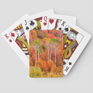 Autumn Colours In Rocky Mountains, Wyoming, USA Playing Cards