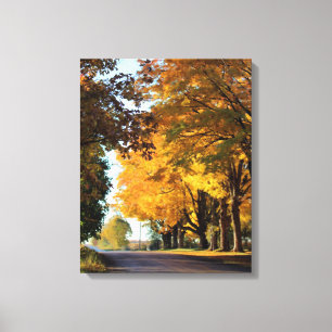 Autumn Colours in the Country Canvas Print
