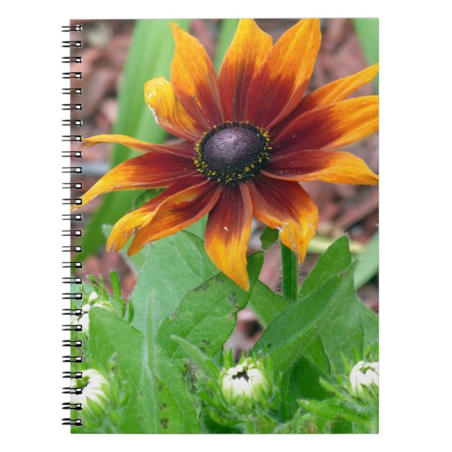 Autumn Colours Notebook (Front)